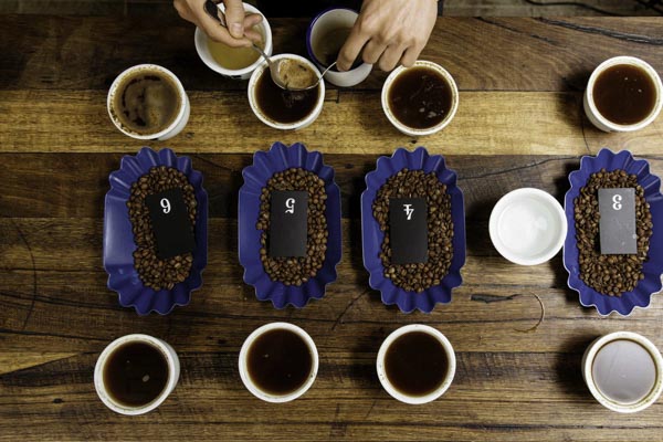 koffie-proeven "cupping"